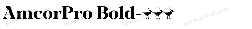 AmcorPro Bold字体转换